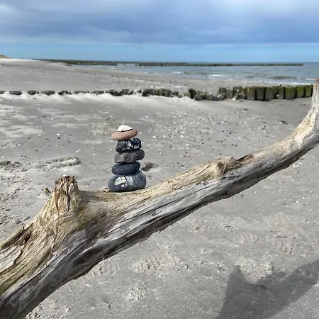 Achtern Diek Haus 7 4 Apartment Ostseeheilbad Zingst